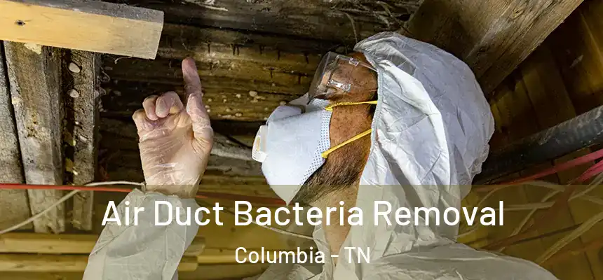  Air Duct Bacteria Removal Columbia - TN
