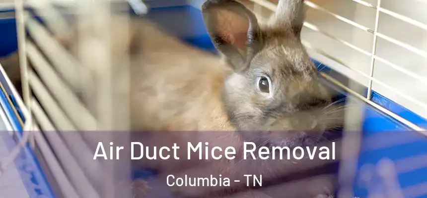  Air Duct Mice Removal Columbia - TN