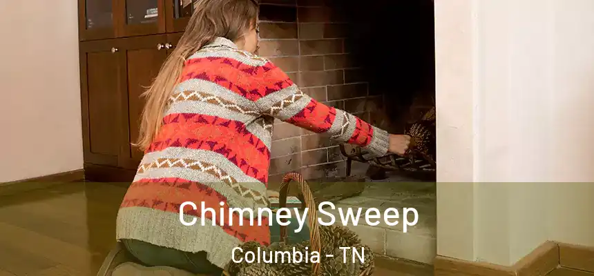  Chimney Sweep Columbia - TN