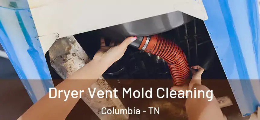 Dryer Vent Mold Cleaning Columbia - TN