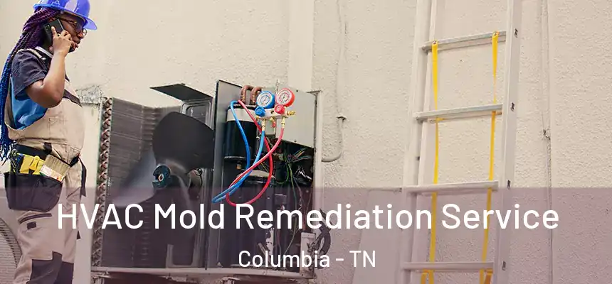  HVAC Mold Remediation Service Columbia - TN