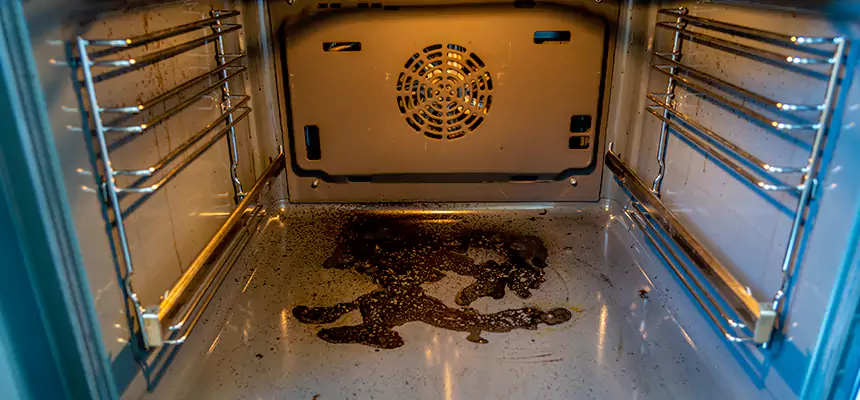 Our Dryer Vent Mold Cleaning Services in Columbia, TN