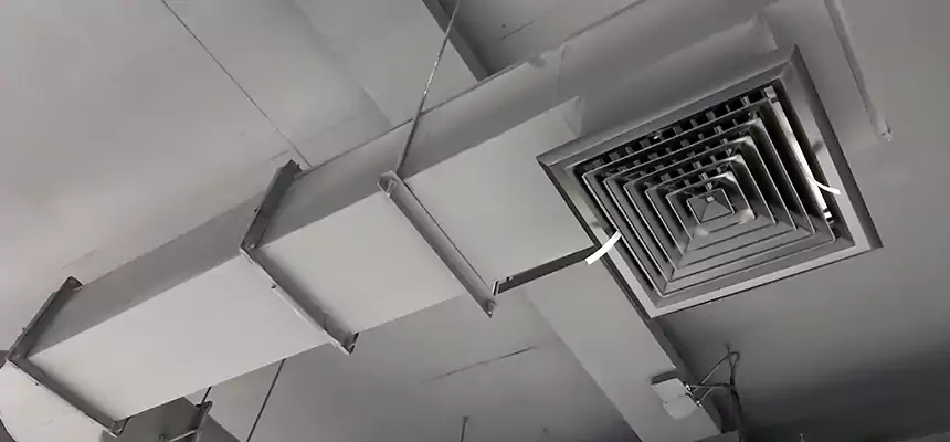 Our Pest Removal From Ducts Services in Columbia, TN