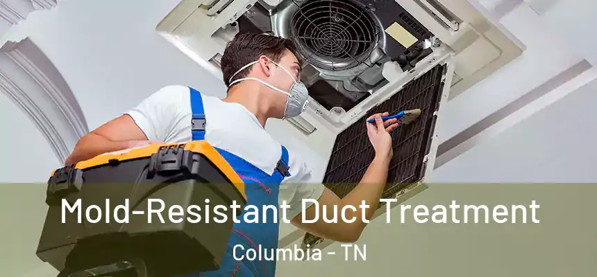  Mold-Resistant Duct Treatment Columbia - TN