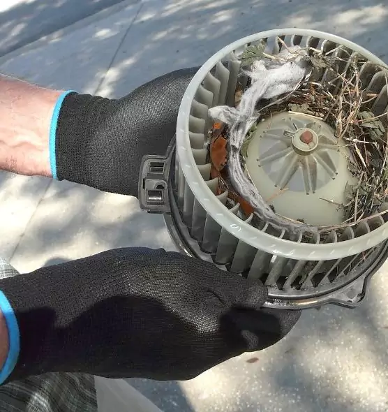 About Air Duct Mice Removal in Columbia, TN